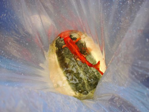 Saisoneröffnung 2013