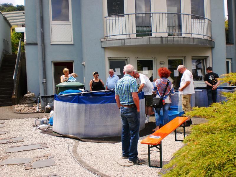 Jubiläums Teichfest 2014