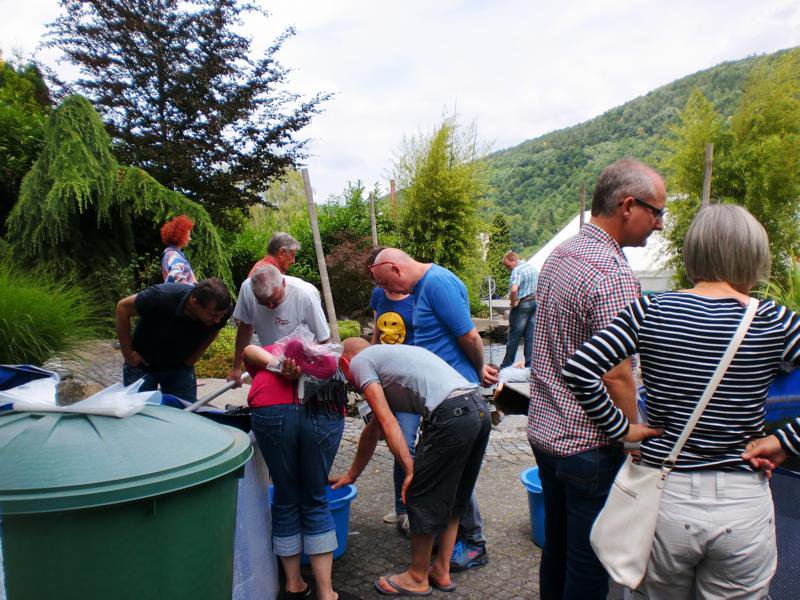 Jubiläums Teichfest 2014