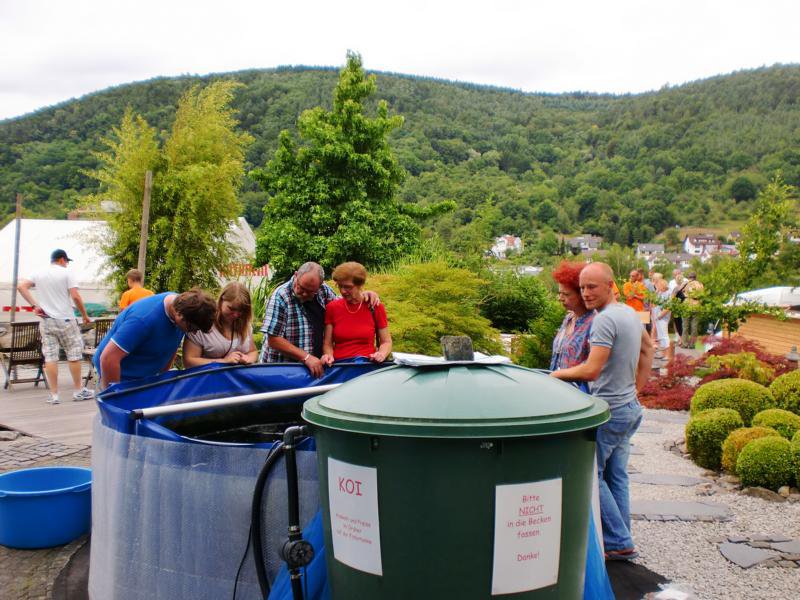 Jubiläums Teichfest 2014