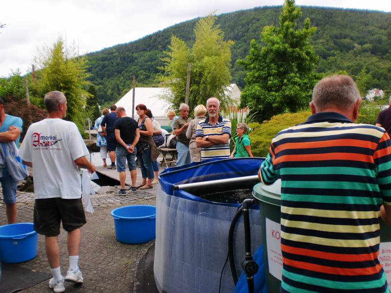 Jubiläums Teichfest 2014