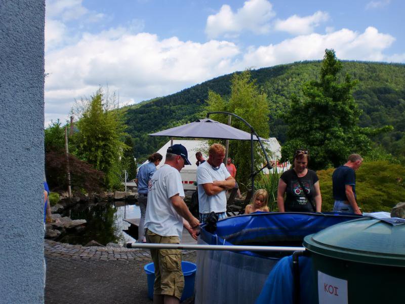 Jubiläums Teichfest 2014